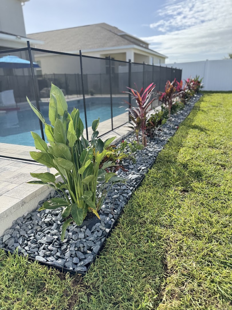 Recent project