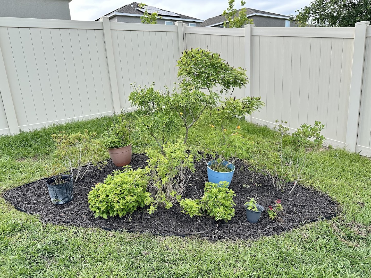 Recent project